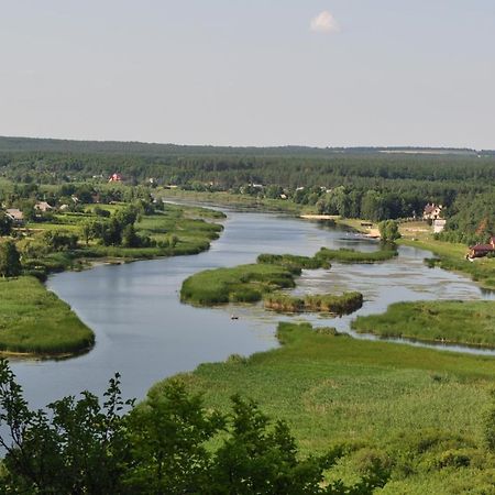 Maliovnytsya Guest House Dybintsy Eksteriør bilde