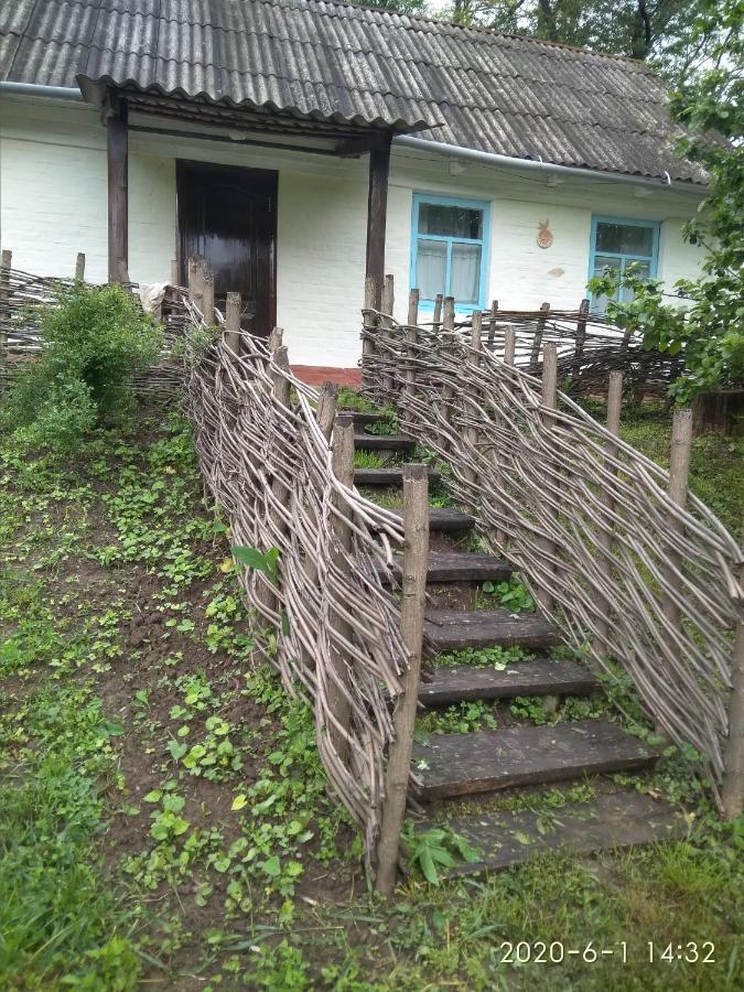 Maliovnytsya Guest House Dybintsy Eksteriør bilde